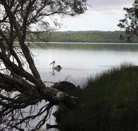 The Cove