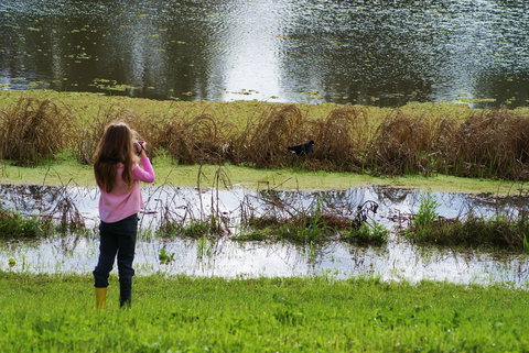 Wilga Hotel - Accommodation Directory 0