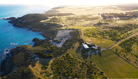 Yondah Beach House - Accommodation Directory 1