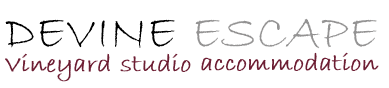 De Vine Escape - Accommodation Directory 7