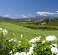 Balgownie Estate Vineyard Resort and Spa - Accommodation Directory