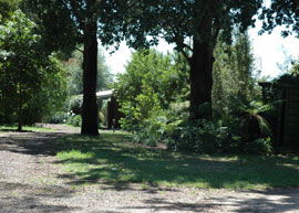 Bloomfield Cottages - Accommodation Directory 2