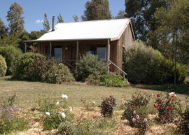 Bloomfield Cottages - Accommodation Directory 3