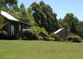 Bloomfield Cottages - Accommodation Directory 4