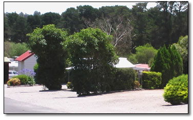 Wantirna Park - Accommodation Directory 5