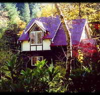 Forest Glade Olinda - Accommodation Directory