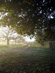 Corinella Country House - Accommodation Directory 4