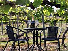 De Vine Escape - Accommodation Directory 2