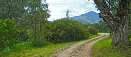 Baranduda Homestead - Accommodation Directory 1