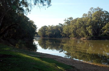 Swan Hill Holiday Park - Accommodation Directory 3