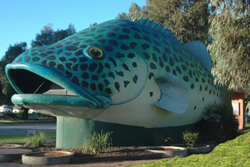 Swan Hill Holiday Park - Accommodation Directory 4