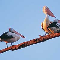 Matahari Houseboats - Accommodation Directory 1