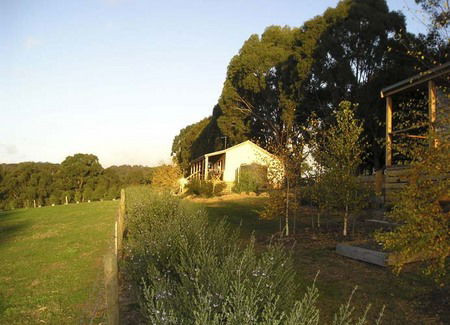 Birchwood Retreat Country Cottages - Accommodation Directory 3
