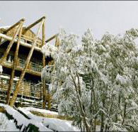 Silverski - Accommodation Directory