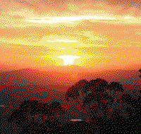 Avocado Sunset - Accommodation Directory