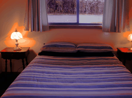 Lake Yalleena Cabins - Accommodation Directory
