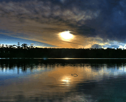 Lake Yalleena Cabins - Accommodation Directory 3