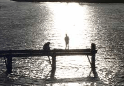 Scamander Beach Hotel Motel - Accommodation Directory 4