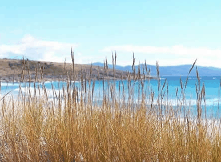 Four Mile Beach TAS Accommodation Directory