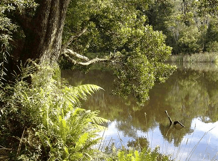  Accommodation Directory