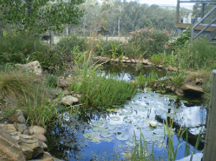 Crabapple Lane Bed & Breakfast - Accommodation Directory 2