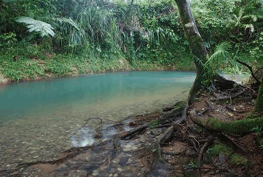 Diwan QLD Accommodation Directory