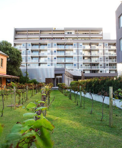 Honeysuckle Executive Apartments - Accommodation Directory 0