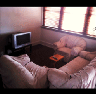 Star Hotel Wauchope - Accommodation Directory 4