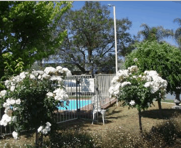 Aromet Motor Inn - Accommodation Directory 5