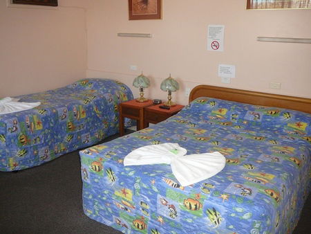 Civic Motel Grafton - Accommodation Directory 2
