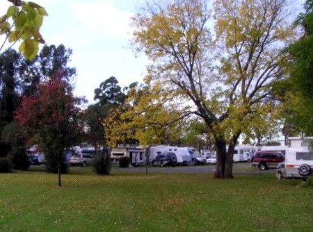 Poplar Tourist Park - Accommodation Directory 2