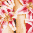 Affinity Day Spa - Accommodation Directory 1