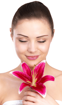 Sorbet Day Spa - Accommodation Directory