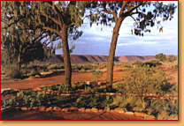 Kings Creek Station - Accommodation Directory 1