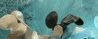 Heathcote Museum & Gallery - Accommodation Directory 1