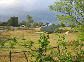 The House Of Honey - Accommodation Directory 2