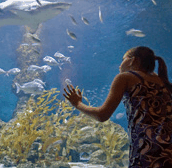 The Aquarium of Western Australia - Accommodation Directory
