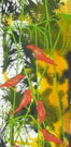 Jahroc Mill Gallery - Accommodation Directory 3