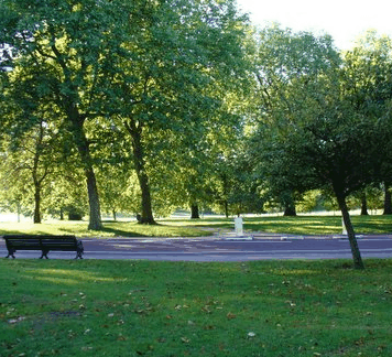 William Taylor Park - Accommodation Directory 0