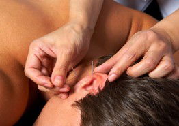 Melbourne Natural Wellness - Accommodation Directory 1