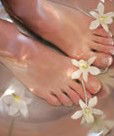 Orchid Day Spa - Accommodation Directory 0