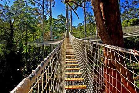 Gold Coast Hinterland QLD Accommodation Directory