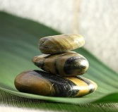 The Nature of Balance - Accommodation Directory