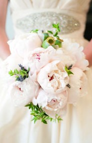 Karralyka Centre - Accommodation Directory 3