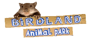 Birdland Animal Park - Accommodation Directory 0