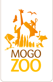 Mogo NSW Accommodation Directory