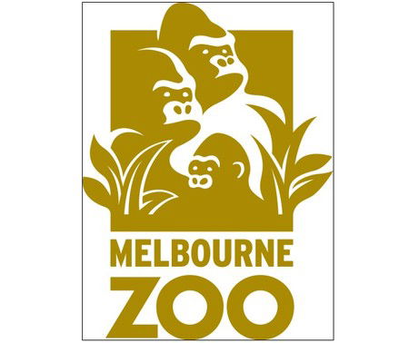 Melbourne Zoo - Accommodation Directory 0
