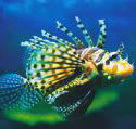 Underwater World - Accommodation Directory