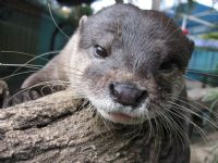 Underwater World - Accommodation Directory 1