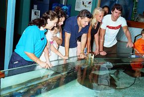 Underwater World - Accommodation Directory 3